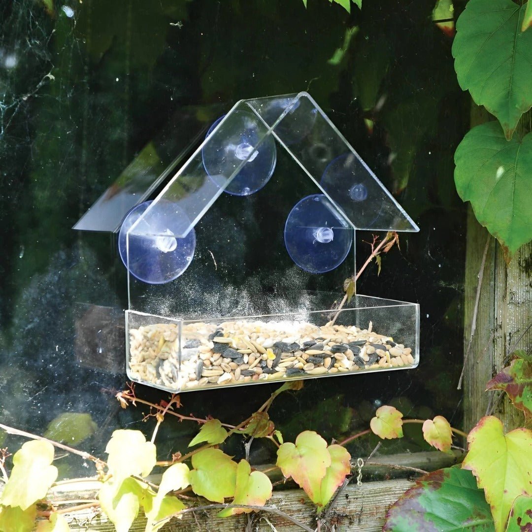 Mangeoire à Oiseaux Transparente pour Fenêtre avec Ventouses, Sans Outil et Facile à Nettoyer