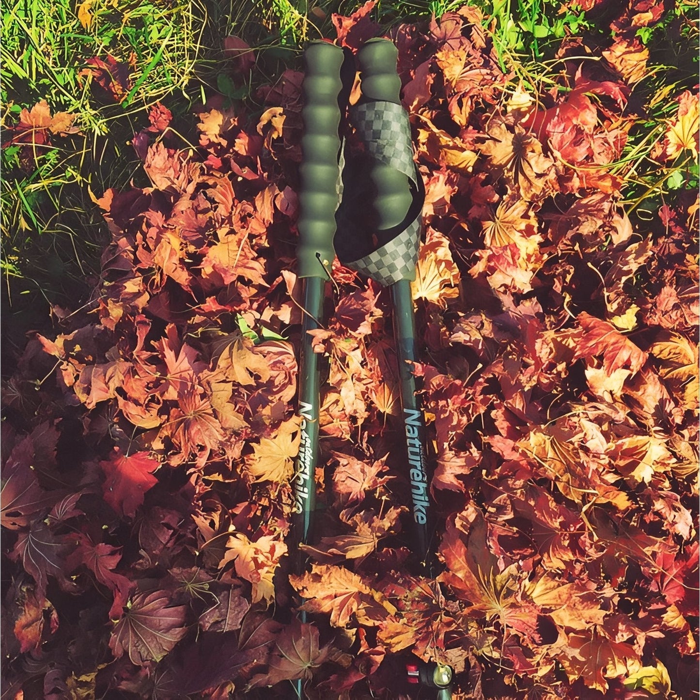 Bâton de Randonnée Télescopique Léger en Fibre de Carbone