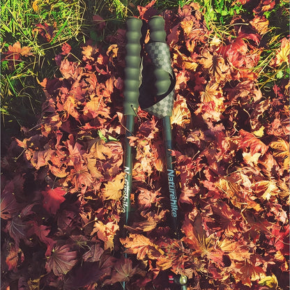 Bâton de Randonnée Télescopique Léger en Fibre de Carbone