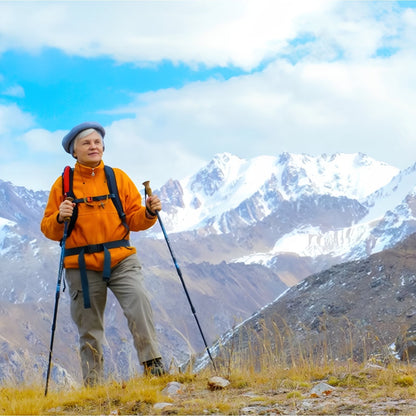 Bâton Télescopique De Marche Nordique En Aluminium