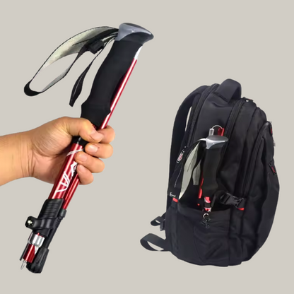 Bâtons De Marche Pour Randonnée