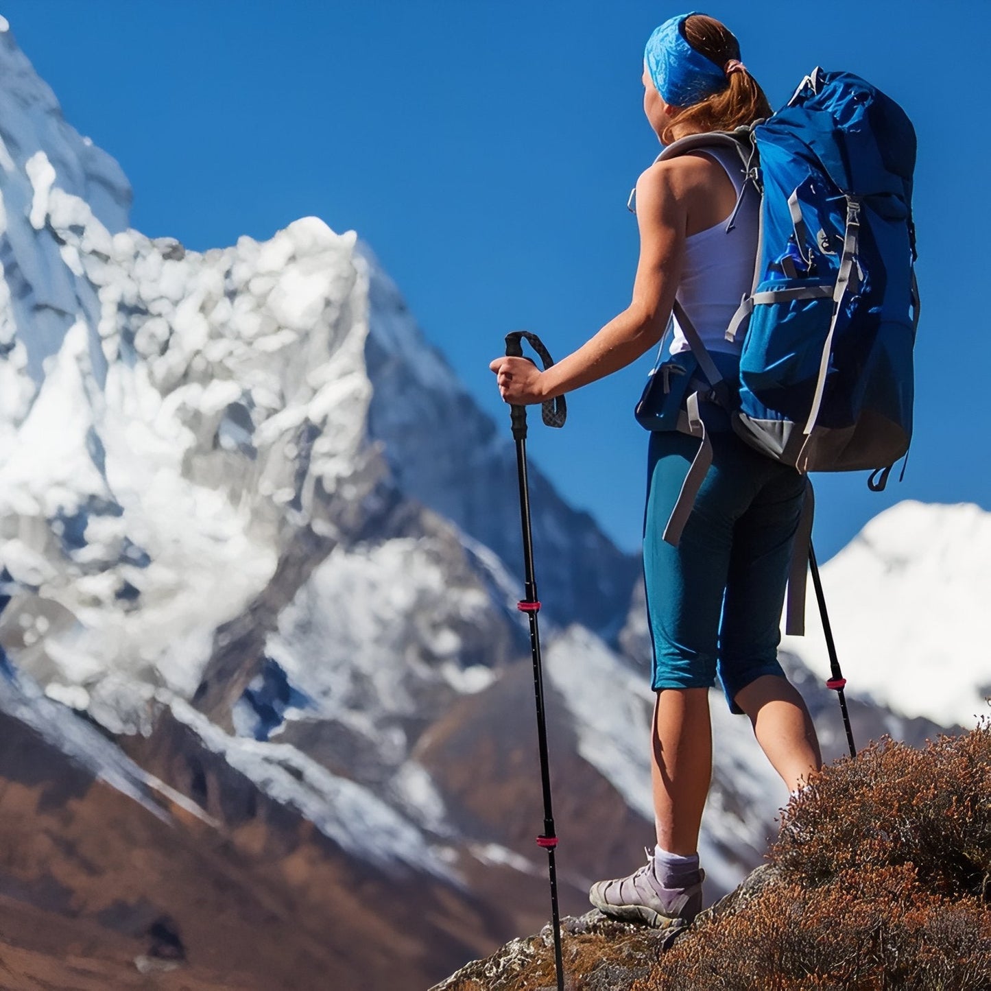 Bâton de Randonnée Télescopique Léger en Fibre de Carbone