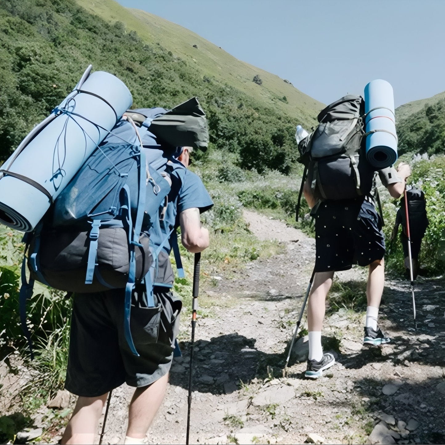 Bâton Télescopique De Marche Nordique En Aluminium