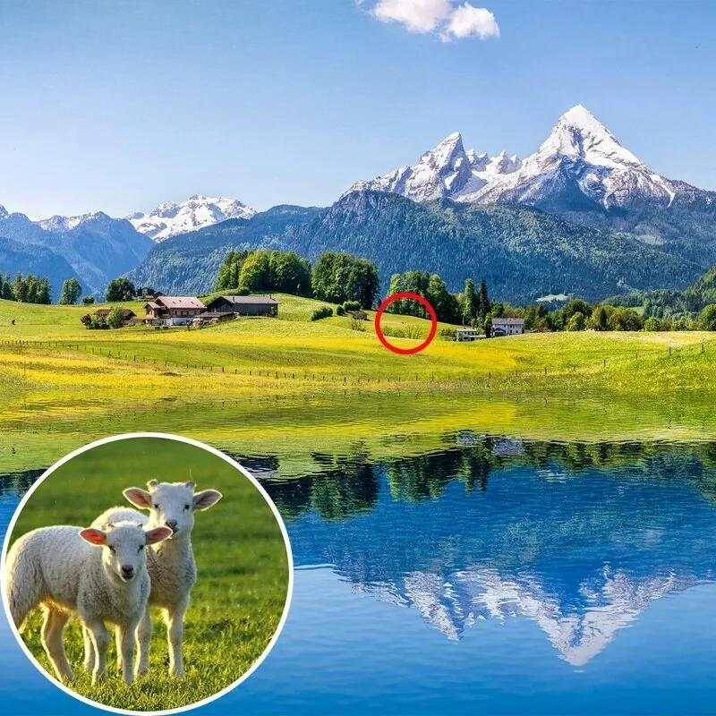 20x Hiking Binoculars for Children