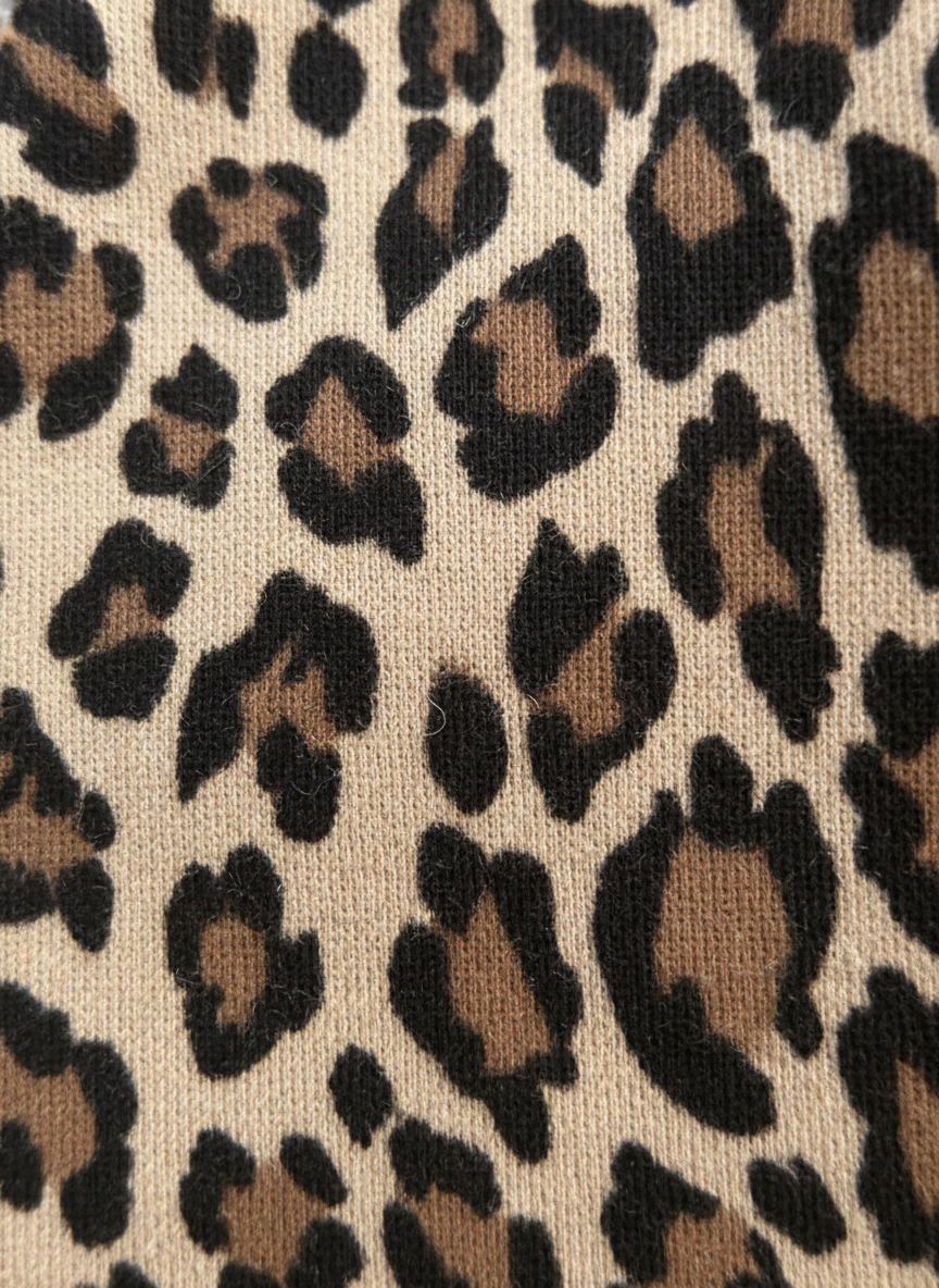 Léa Comfortable and Stylish Women's Hoodie and Leopard Pants Set