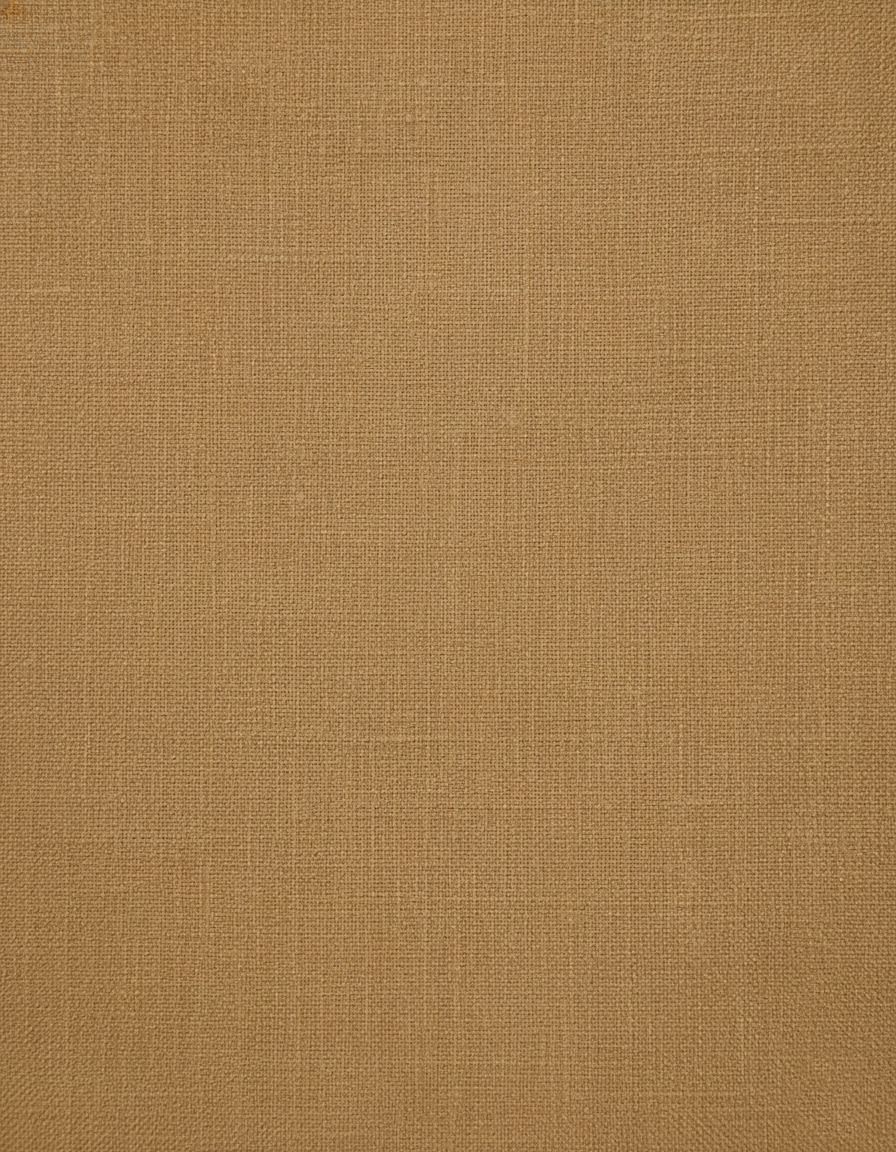 Léa Élégante et Fluide Robe Chemise Midi