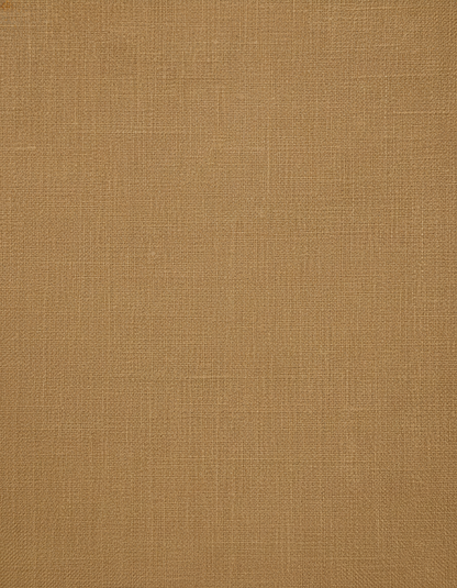 Léa Élégante et Fluide Robe Chemise Midi