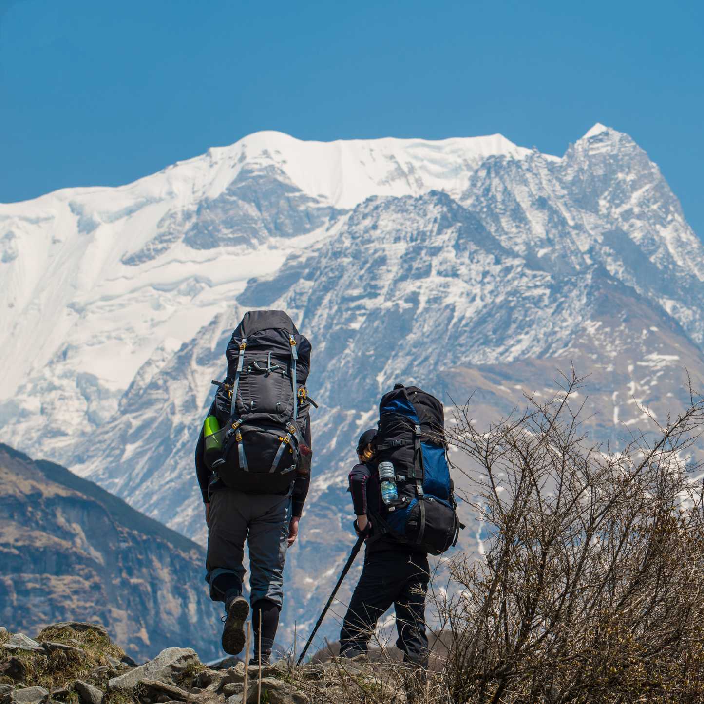 80L Ryggsekk for Trekking, Fotturer og Fjell