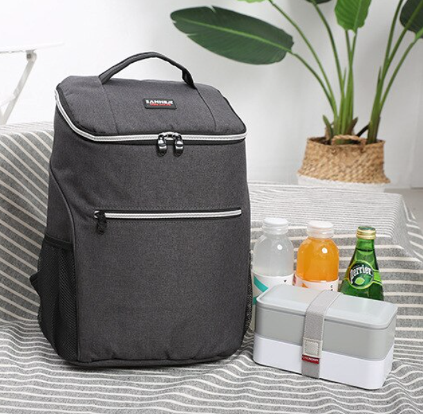 20L Insulated Backpack for Hiking and Picnic