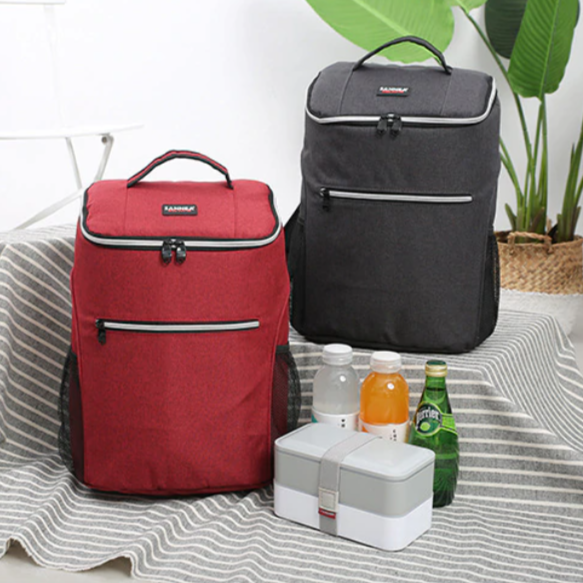 20L Insulated Backpack for Hiking and Picnic