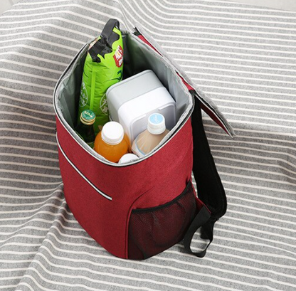 20L Insulated Backpack for Hiking and Picnic