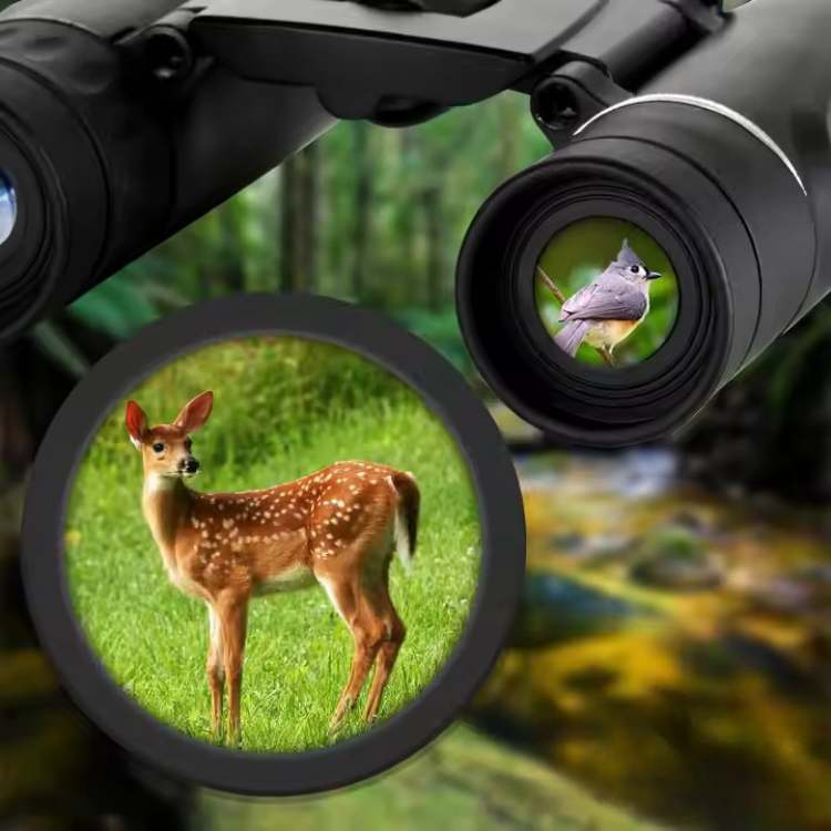 Jumelles Compactes 40x22 HD Longue Portée pour Observation des Oiseaux, Pliables et Légères