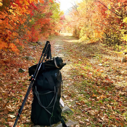 Bâton de Randonnée Télescopique Léger en Fibre de Carbone