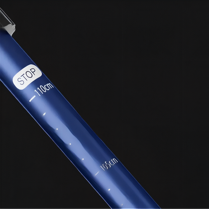 Bâton de Marche Nordique Ajustable en Aluminium