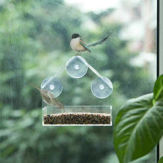 Transparent Window Bird Feeder with Suction Cups, No Tools Required & Easy to Clean