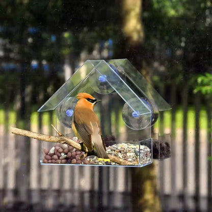 Mangeoire à Oiseaux Transparente pour Fenêtre avec Ventouses, Sans Outil et Facile à Nettoyer
